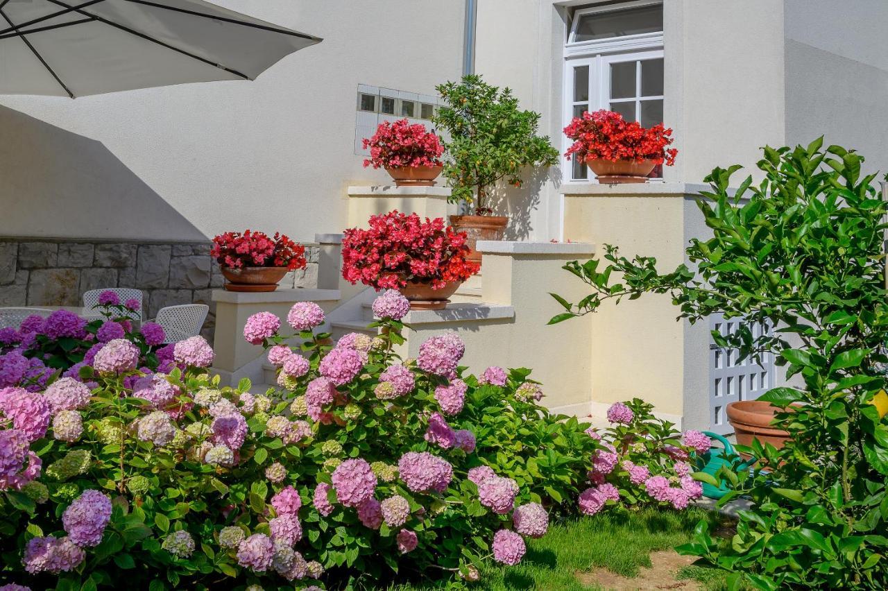 Palace Schoen Milesi - Esense Of Prestige - Private Pool - Free Parking - Old Money Style Luxury Rooms - Walking Distance To The Old Town, The Beach And All Amenities - Buralux Properties Split Exteriér fotografie